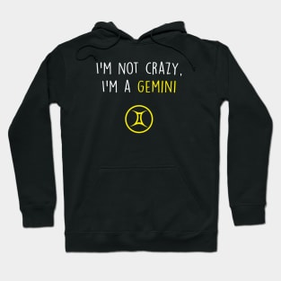 Gemini Funny Hoodie